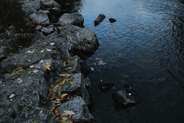 Tranquil Reflections on Water Featuring Beautiful Fall Leaves, Rocks, and Scenic Natural Beauty