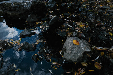 Tranquil Reflections on Water Featuring Beautiful Fall Leaves, Rocks, and Scenic Natural Beauty
