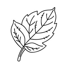 green leaf icon, green leaf vector illustration-simple illustration of green leaf, perfect for green leaf logos and icons