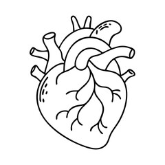 heart icon, heart vector illustration-simple illustration of heart, perfect for heart logos and icons