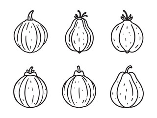 Handcrafted Chayote Fruit Line Art for Creative Projects (1)