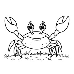 Fototapeta premium The happy crab smiles