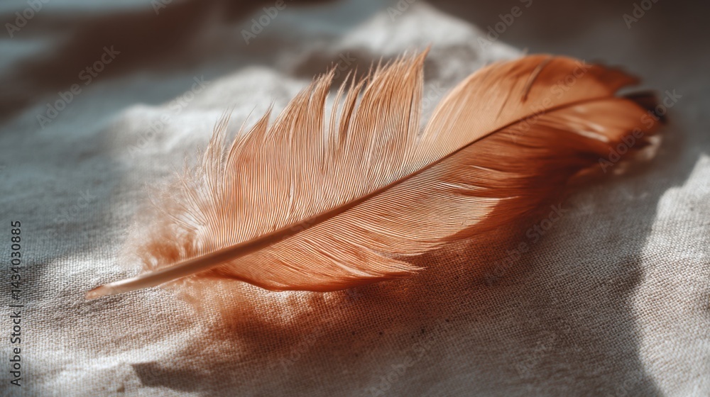 Poster delicate feather resting on textured fabric creating soft shadows and highlights in warm tones a pea
