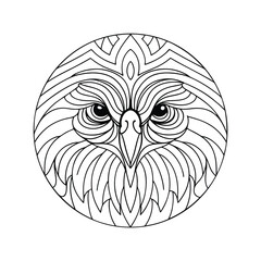 Owl head circular line art illustration detailed bird design creative graphic black and white mandala
