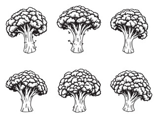 Healthy broccoli vegetable outline sketch vector