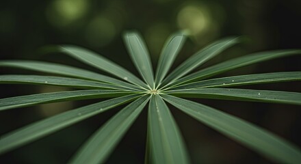 Symmetrical leaf pattern with a natural, abstract composition on blurred background