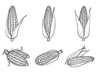 Minimalist Corn Line Art Drawing for Organic Food Concept 