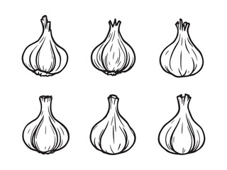 Minimalist garlic vegetable drawing in black and white