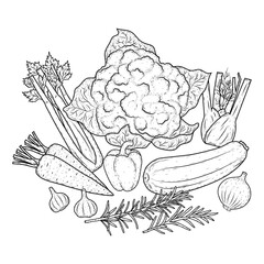 Hand-Drawn Organic Vegetables and Herbs Illustration – Vintage Botanical Set for Healthy Cooking and Vegan Design Projects