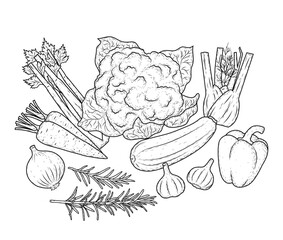 Hand-Drawn Organic Vegetables and Herbs Illustration – Vintage Botanical Set for Healthy Cooking and Vegan Design Projects