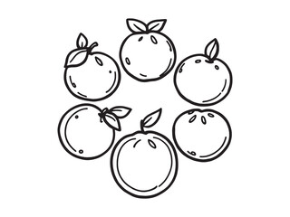 Minimalist Line Art Illustration of Fresh Clementine Fruit