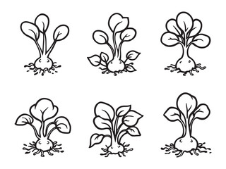 Organic bean sprouts sketch in black and white
