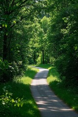 a view of a road through a forest with a bench on the side