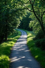 Obraz premium a view of a road that is winding through a forest
