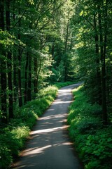 Fototapeta premium arafed road in the woods with trees and grass on both sides
