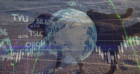 Image of data processing and globe over dogs