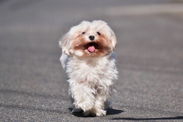 天気の良い昼下がり