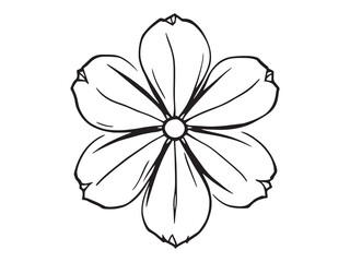 Simple Elegant Courgette Flower Line Art Illustration 