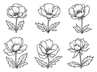 Simple Elegant Cyclamen Flower Line Art Illustration Design 