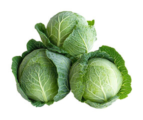 Fresh green cabbage harvest farm field food isolated on transparent background