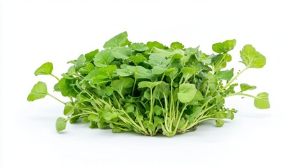 Fresh watercress bunch isolated on white.