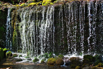 Obraz premium 自然の造形