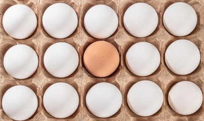 White chicken eggs in the cardboard egg tray with rooms for thirty eggs