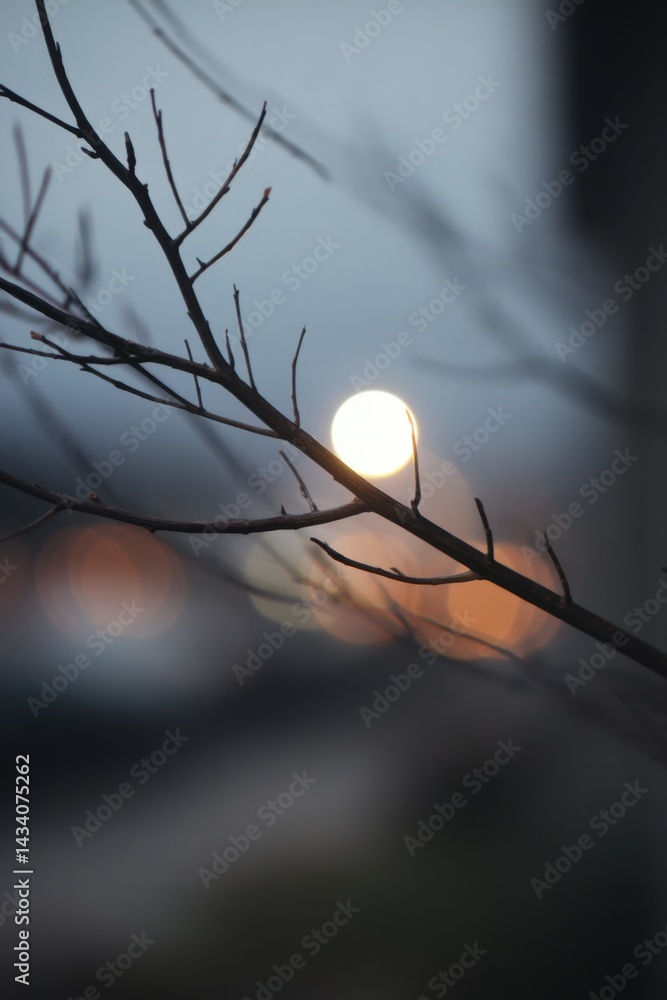 Poster serene twilight scene with bare branches silhouetted against a soft glowing sun and bokeh lights cre