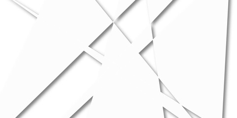 Abstract white background, white elements in blank space. Abstract paper cut style design.