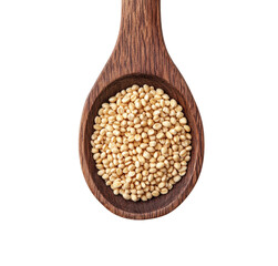 Harvesting quinoa seeds kitchen food natural light isolated on transparent background