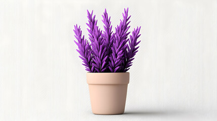 Purple Rosemary Plant in a Terracotta Pot Against White Wooden Background