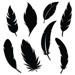 feathers vector illustration