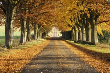 Naklejka premium Peaceful autumn alley with yellow foliage