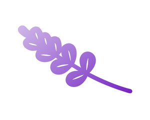 pink on white background Lavender vector illustration