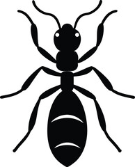 ant icon black silhouette vector illustration on transparent background
