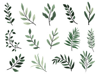 Fototapeta premium Vector design elements collection of plant green forest, green art leaves natural herb in silhouette beauty decoration elegant illustration for design.