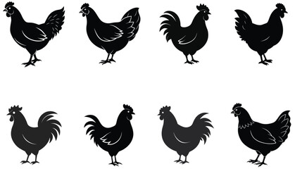 Chicken silhouette vector set isolated on white background.