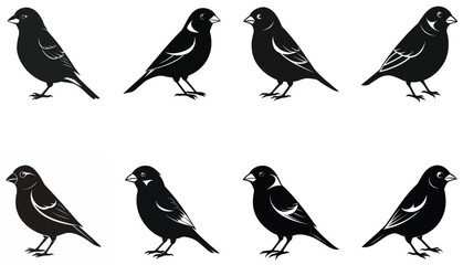 finches silhouette vector set isolated on white background.