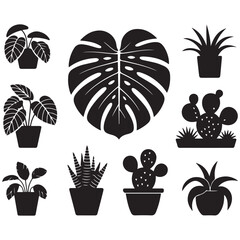 Houseplants. set of Vector Black silhouettes home plants, succulents in pot. Indoor exotic flowers with stems and leaves. Monstera, ficus, pothos, yucca, dracaena, cacti, 
