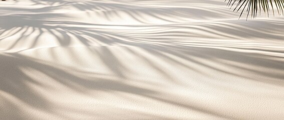 Obraz premium Palm Leaf Shadows on Sand (1)
