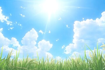 Obraz premium Sunny Day in a Rice Field. Lush, green rice stalks against a bright, cloud-filled sky