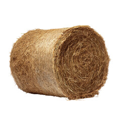 A round bale of hay, tightly compressed and bound with twine, showcasing its coarse texture and natural fibers.
