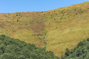 Borzhava mountain valley in the Carpathians