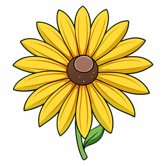 sunflower on white background