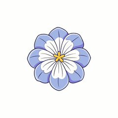 white daisy flower