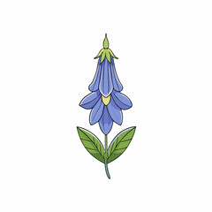 blue flower isolated on white