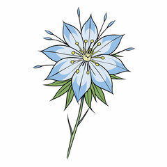 white flower isolated on white background