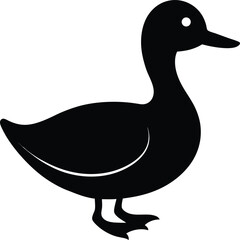vector illustration of a duck