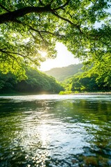 Obraz premium Lush river valley, sunlight through trees
