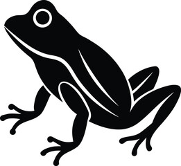 frog on a white background
